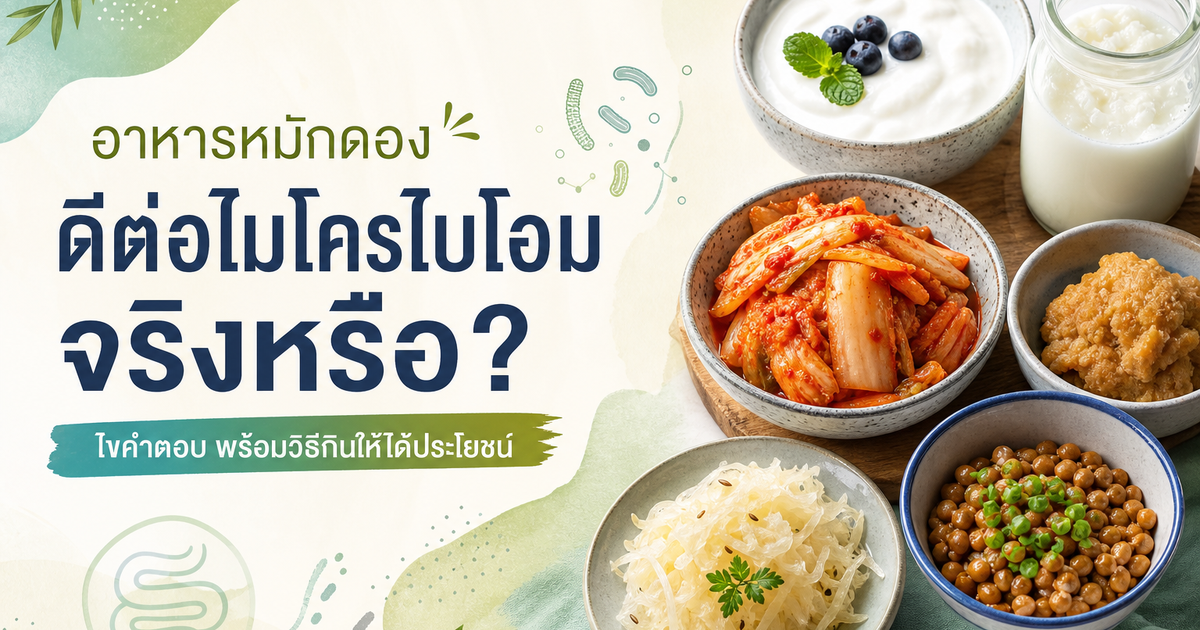อาหารหมักช่วยลำไส้จริงไหม?