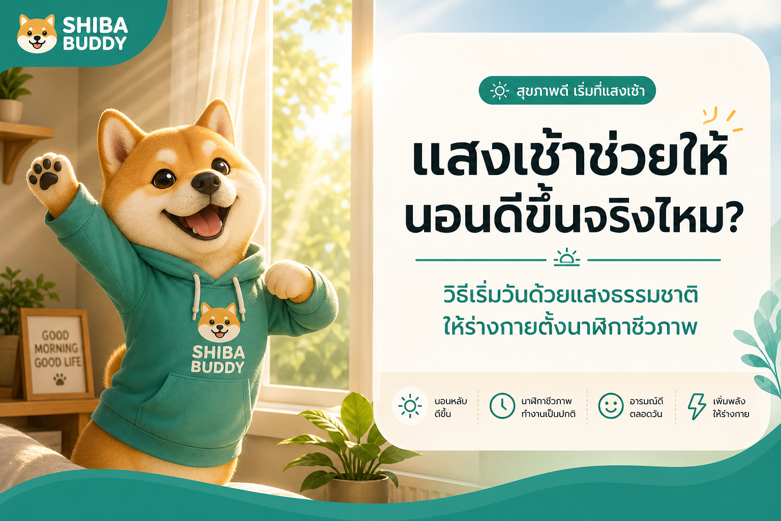 แสงเช้าช่วยให้นอนดีขึ้นจริงไหม?